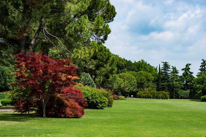 Un’estate al Parco Giardino Sigurtà, il paradiso verde di Valeggio sul Mincio
